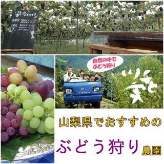 山梨県のぶどう狩りスポット5選|収穫時期・おすすめのぶどう農園は?