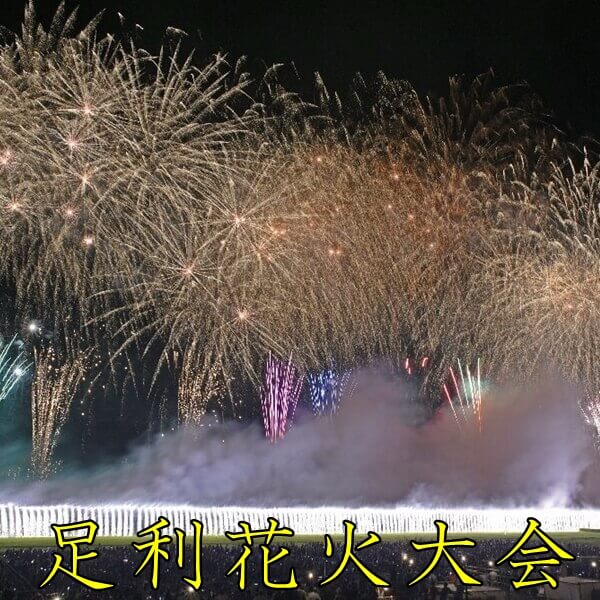 足利花火大会2022|日程・有料席・穴場・足利夏まつりを紹介!