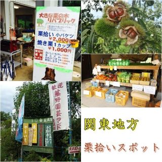 関東の栗拾いスポット5選｜人気の農園を紹介！入園料は無料？