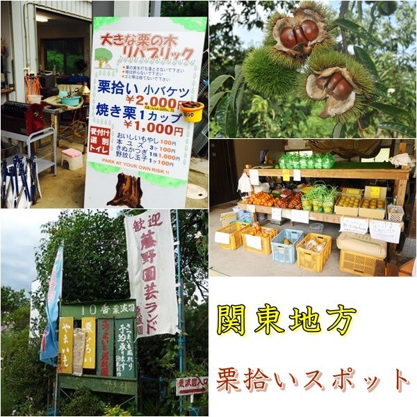 関東の栗拾いスポット5選｜人気の農園を紹介！入園料は無料？