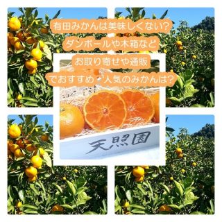 有田みかんは美味しくない?ダンボールや木箱などお取り寄せや通販でおすすめ・人気のみかんは?