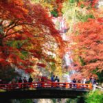 箕面の紅葉スポット3選!名所近くでランチが楽しめるレストラン5選!