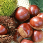 栗の種類や品種| 美味しい栗の見分け方は?栗の保存方法は?